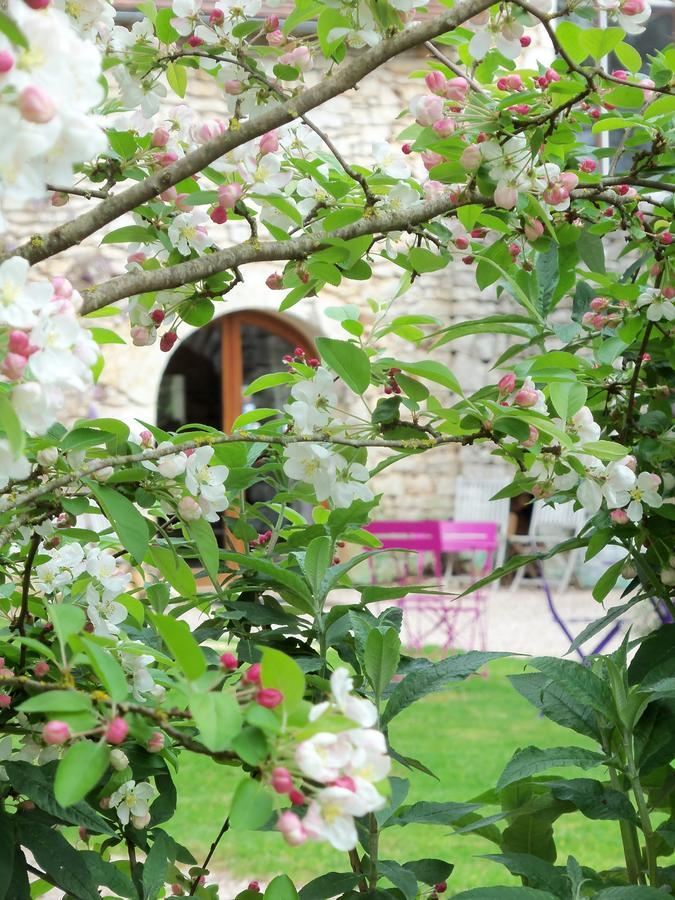 Chambres Et Jardin De Pierres Espédaillac Exteriér fotografie